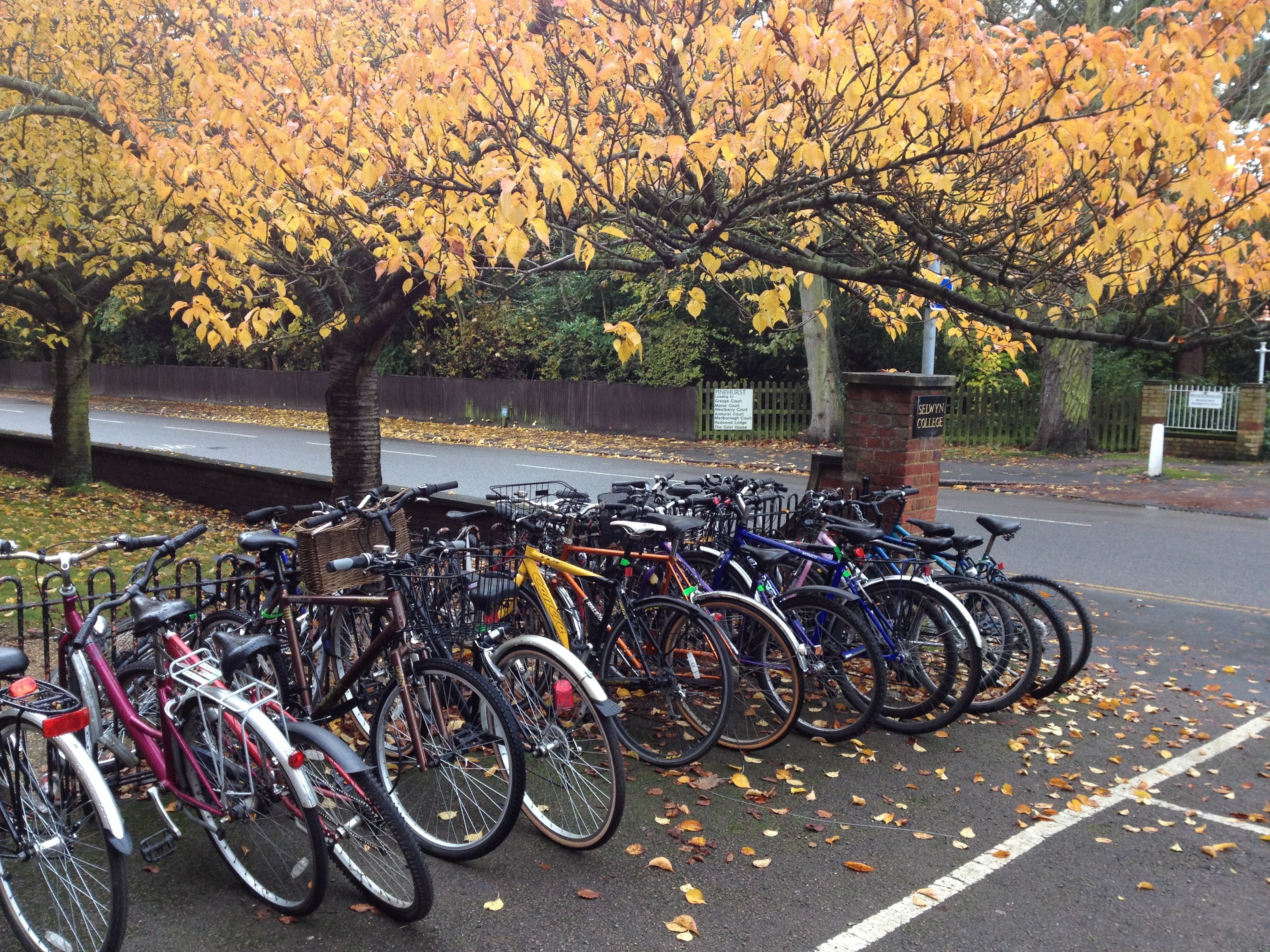 Photograph of bicycles outside Selwyn College