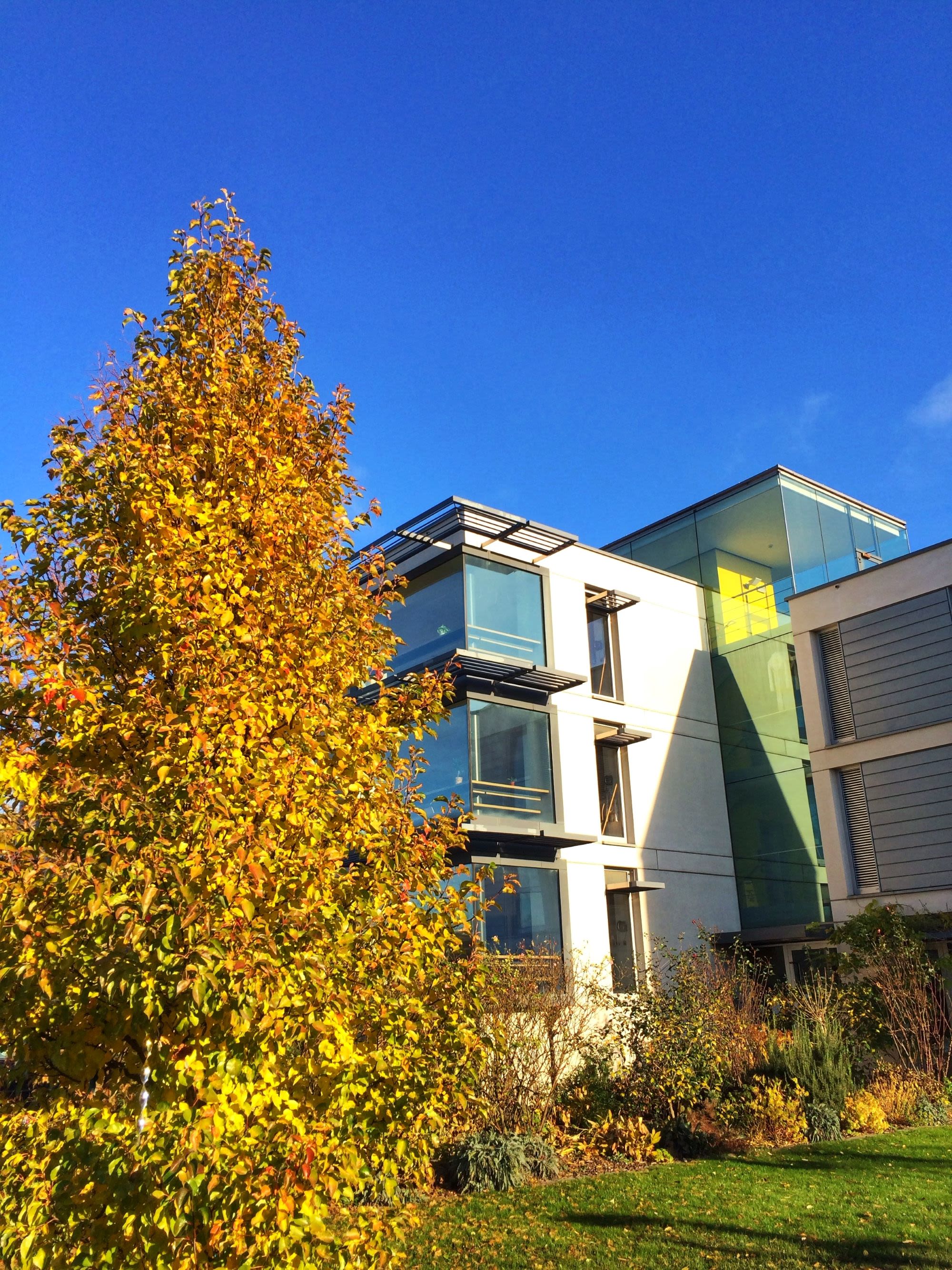 Photograph of Murray Edwards College @camdiary