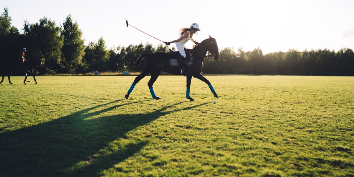 Photo of polo match