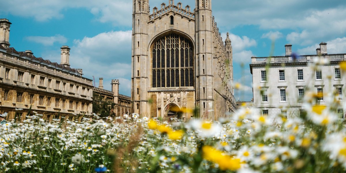 King's College Chapel seen from a meadow of wild summer flowers 