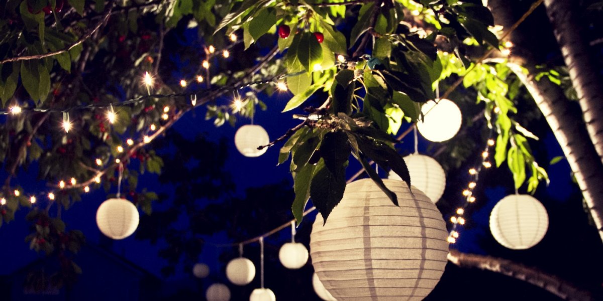 Globe shaped lamps hang from tree branches in the night sky.