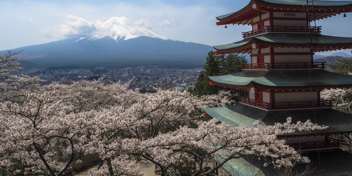 Mt. Fuji and Japanese Temple 